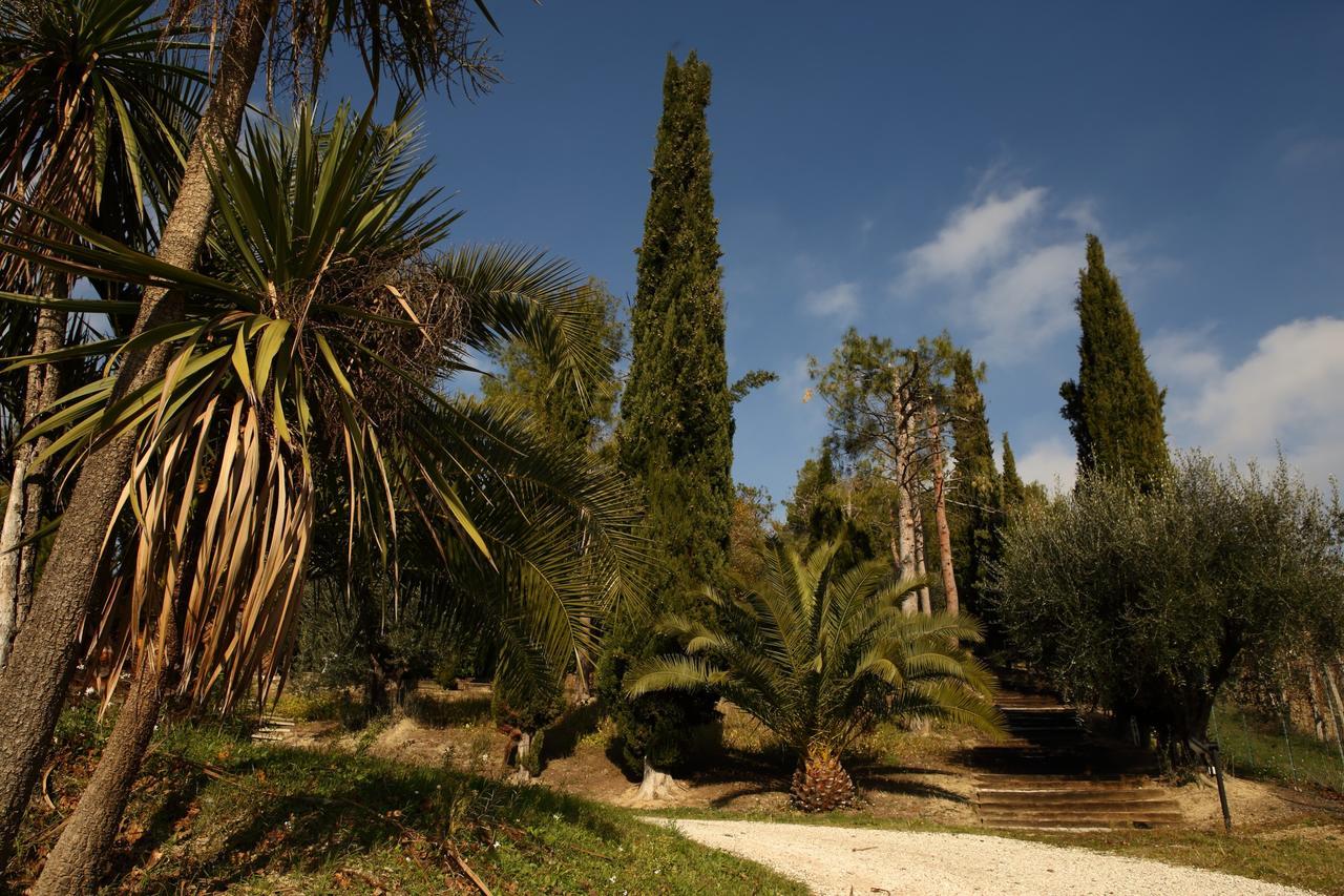 Bed and Breakfast La Casa In Campagna Cossignano Exterior foto