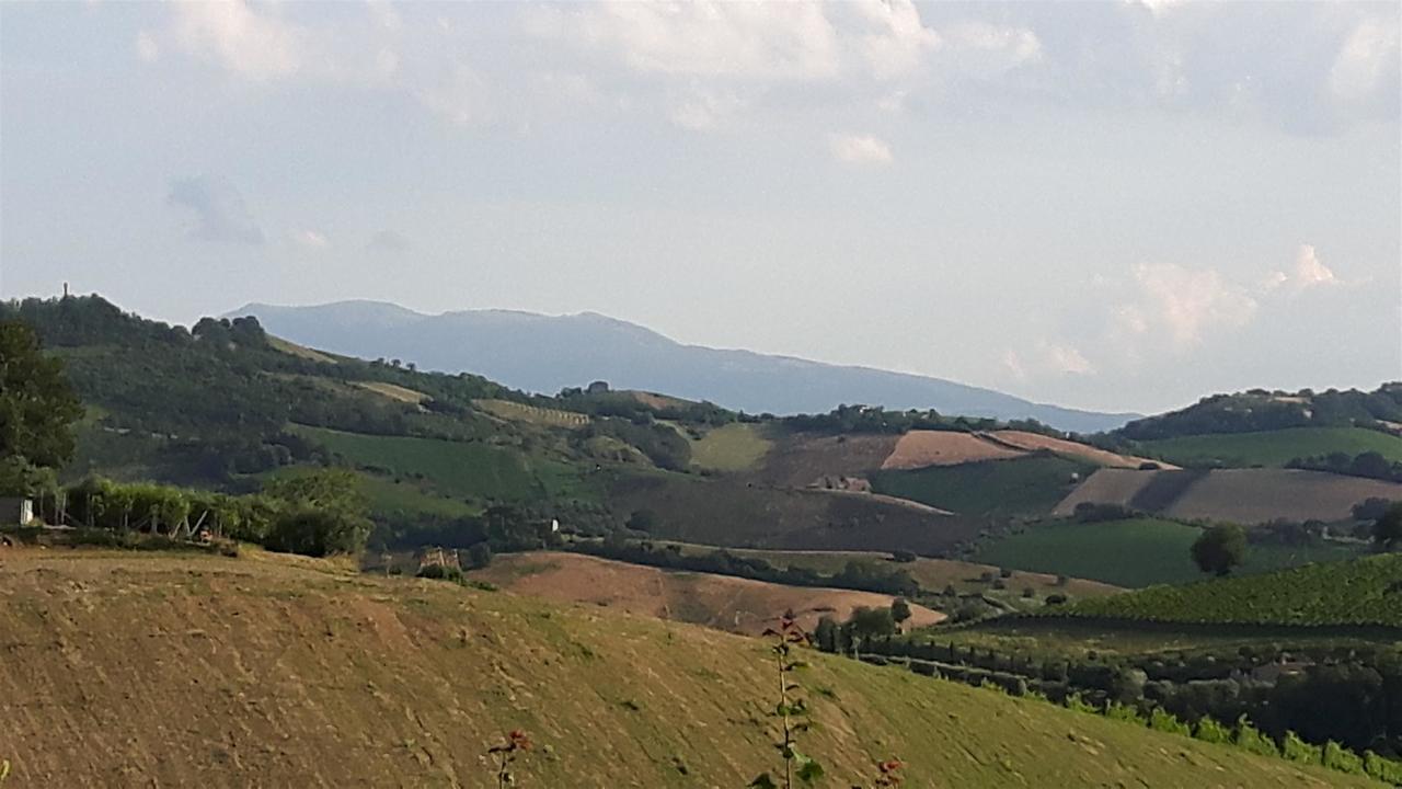 Bed and Breakfast La Casa In Campagna Cossignano Exterior foto