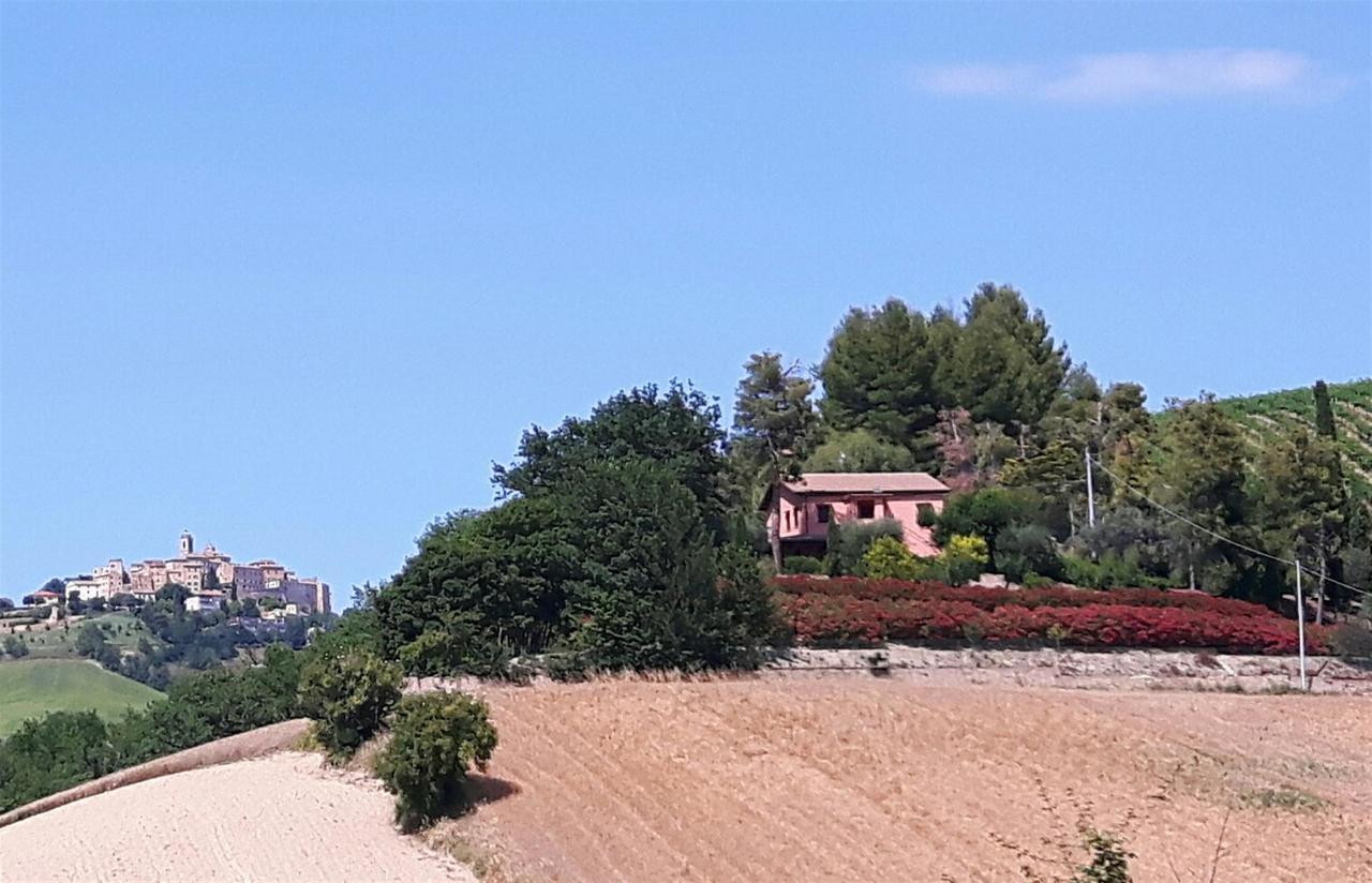 Bed and Breakfast La Casa In Campagna Cossignano Exterior foto