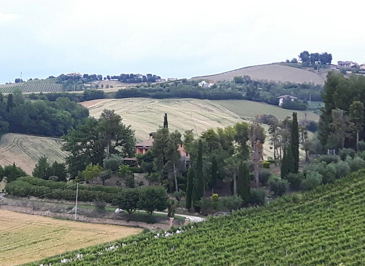 Bed and Breakfast La Casa In Campagna Cossignano Exterior foto