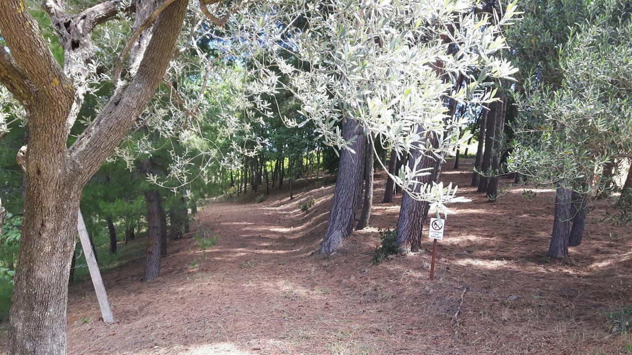 Bed and Breakfast La Casa In Campagna Cossignano Exterior foto